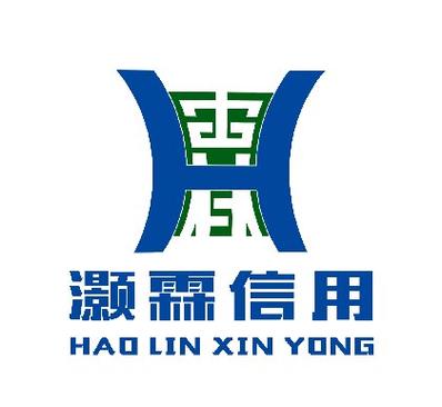 湖南省灝霖信用服務信息技術咨詢服務 專業賦能，信達未來